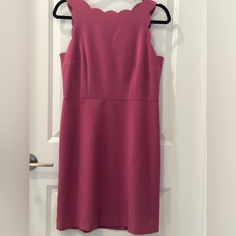 Pretty in mauve loft dress petite !